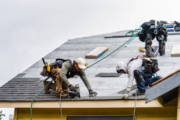 Professional Emergency Roof Repair technician working in Linden, PA